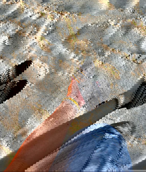 payton.r payton.r archive image