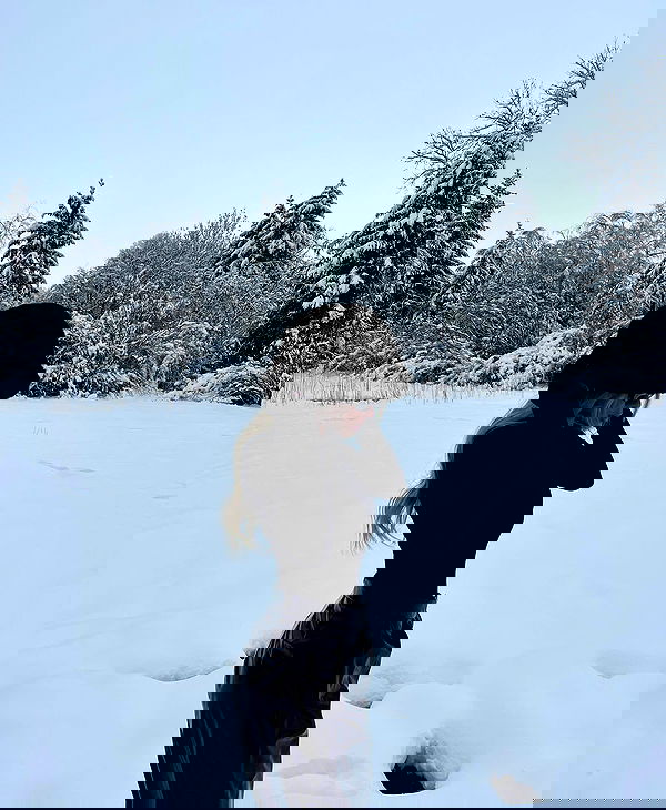 payton.r payton.r archive image