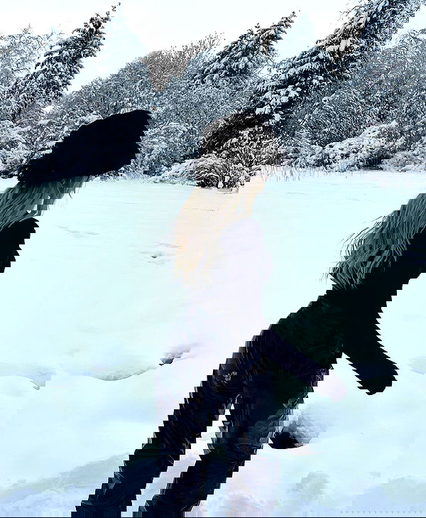 payton.r payton.r archive image