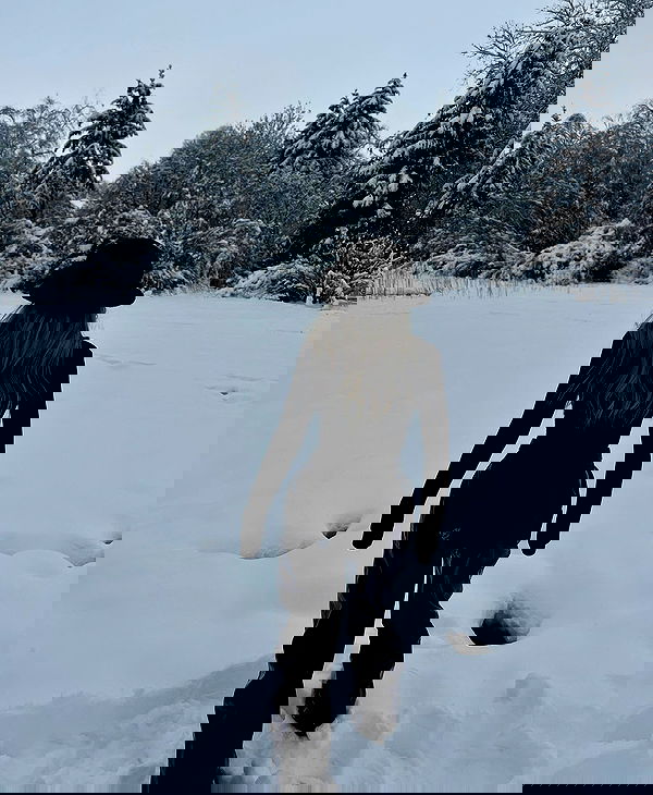 payton.r payton.r archive image