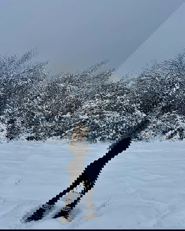 payton.r payton.r archive image