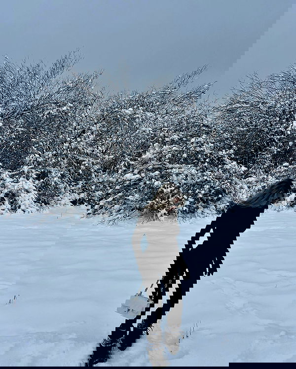 payton.r payton.r archive image