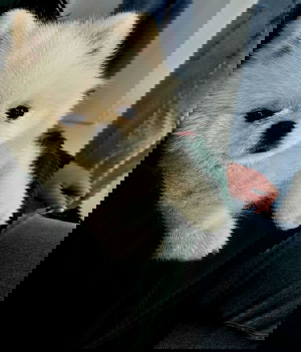 payton.r payton.r archive image