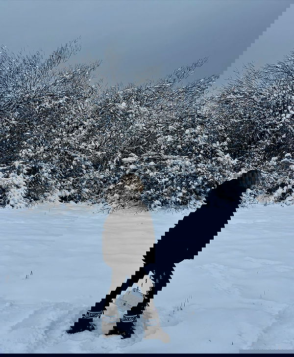 payton.r payton.r archive image