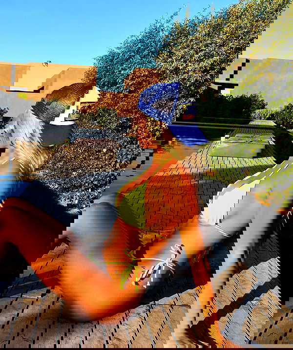 payton.r payton.r archive image