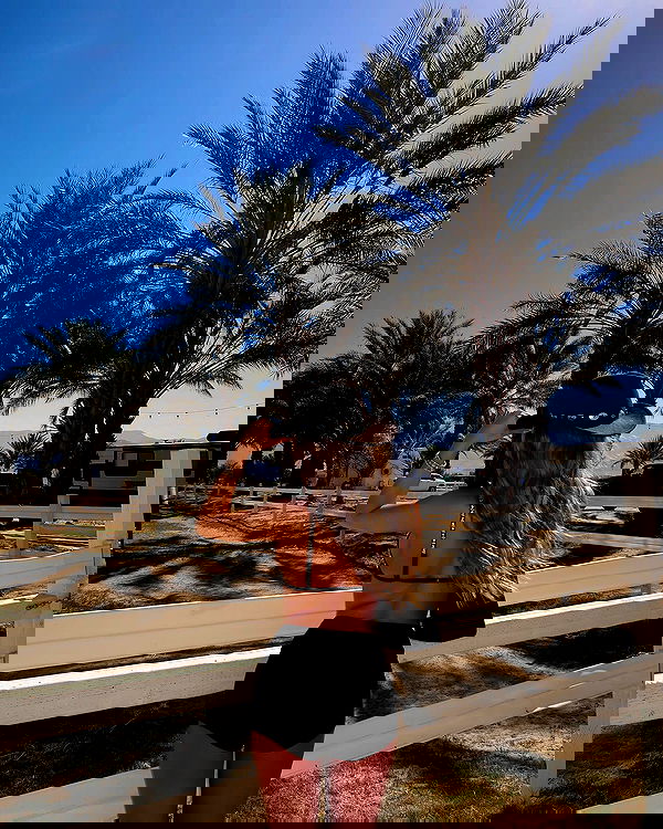 payton.r payton.r archive image