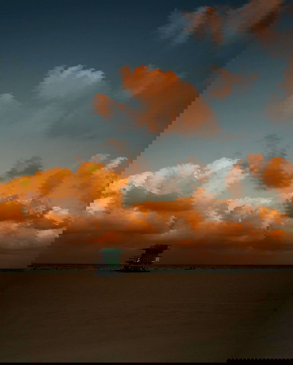 payton.r payton.r archive image