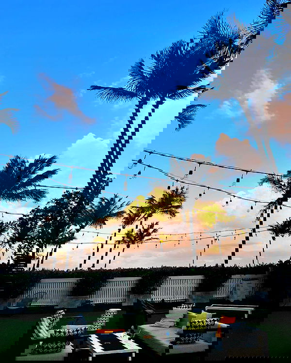 payton.r payton.r archive image