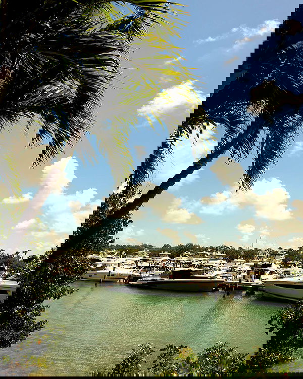 payton.r payton.r archive image