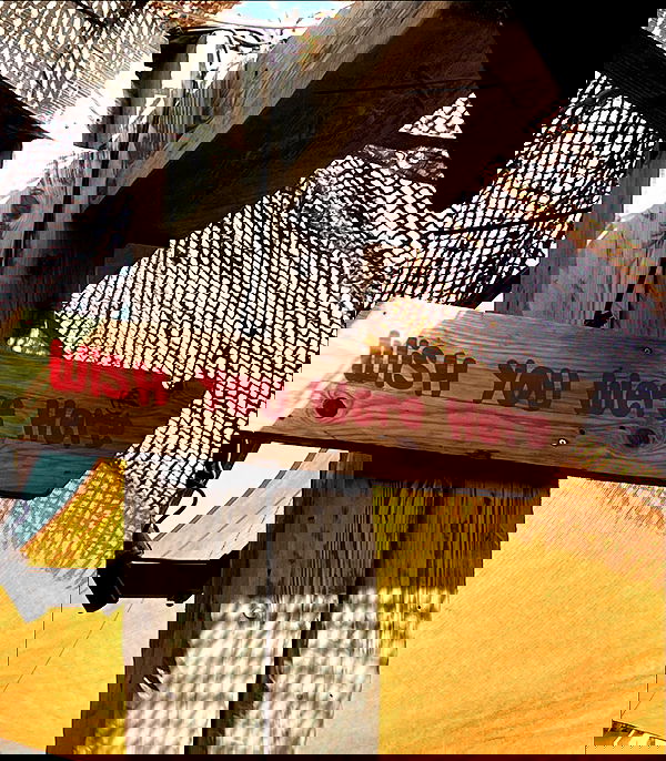 payton.r payton.r archive image