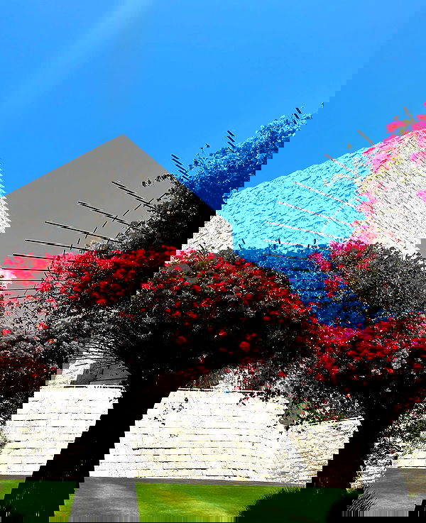 payton.r payton.r archive image