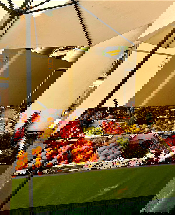 payton.r payton.r archive image