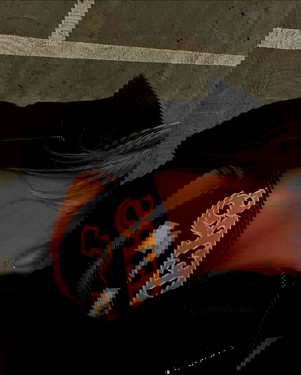 payton.r payton.r archive image