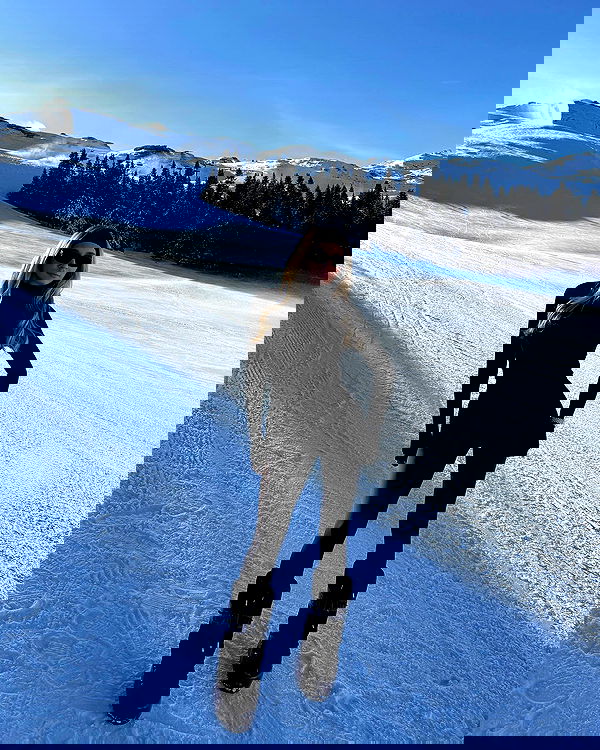 payton.r payton.r archive image