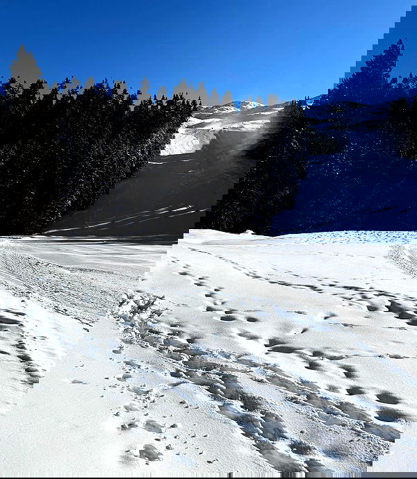 payton.r payton.r archive image