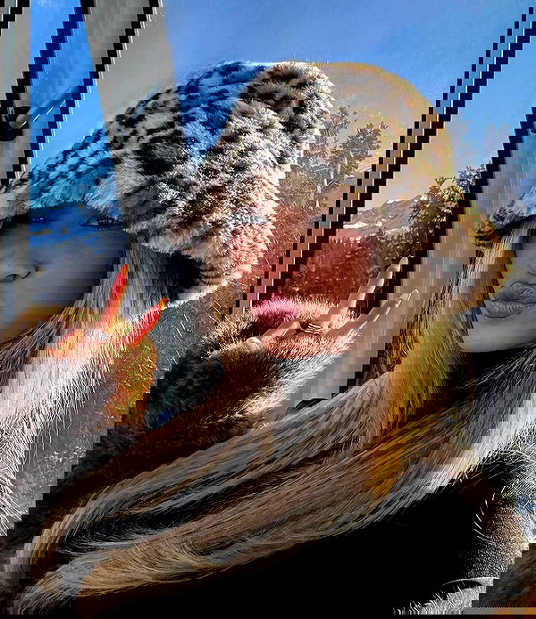 payton.r payton.r archive image