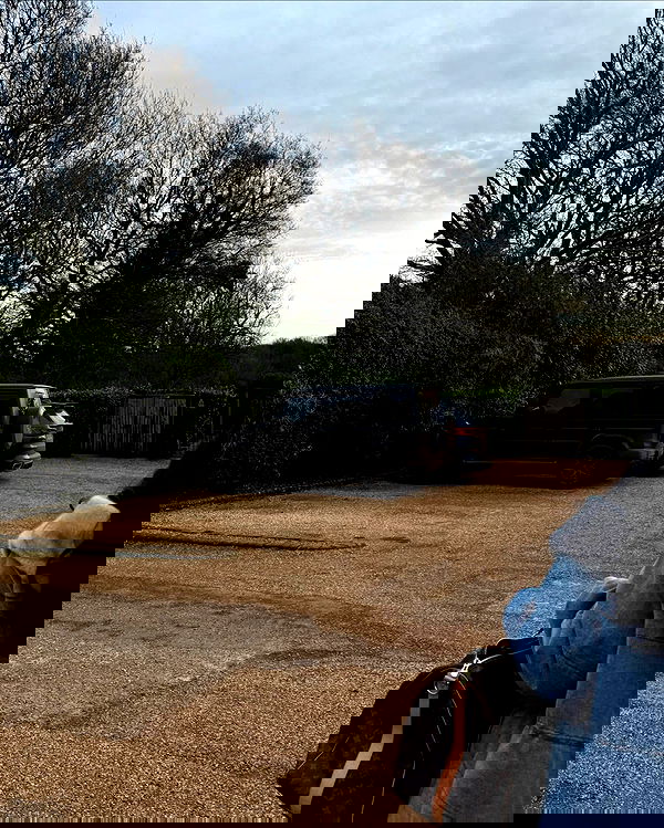 payton.r payton.r archive image