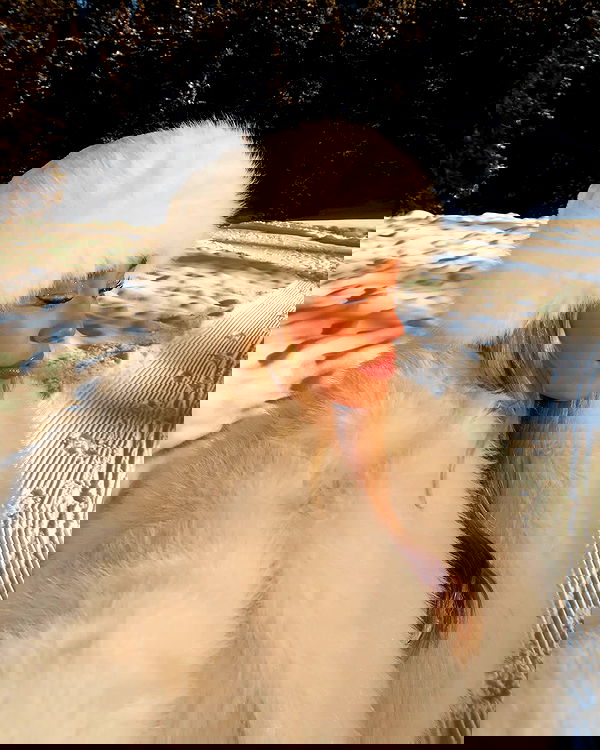 payton.r payton.r archive image