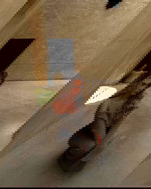 payton.r payton.r archive image