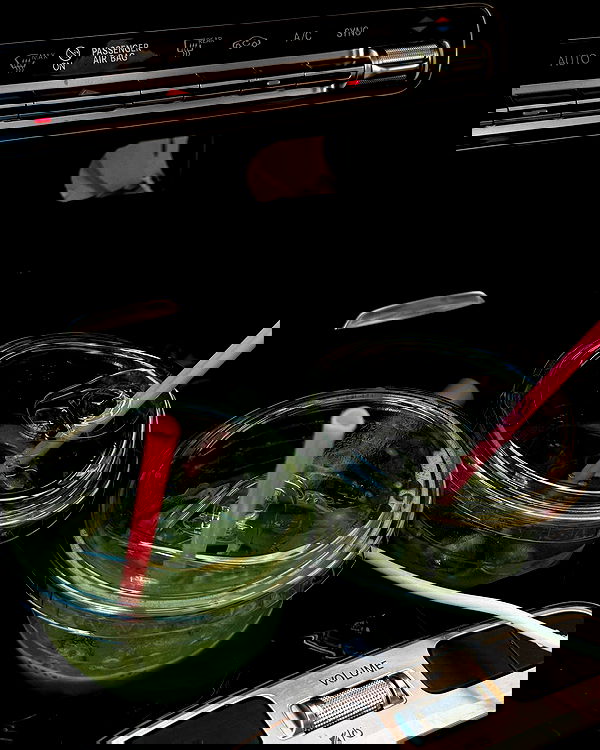 payton.r payton.r archive image