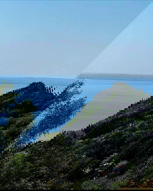 payton.r payton.r archive image