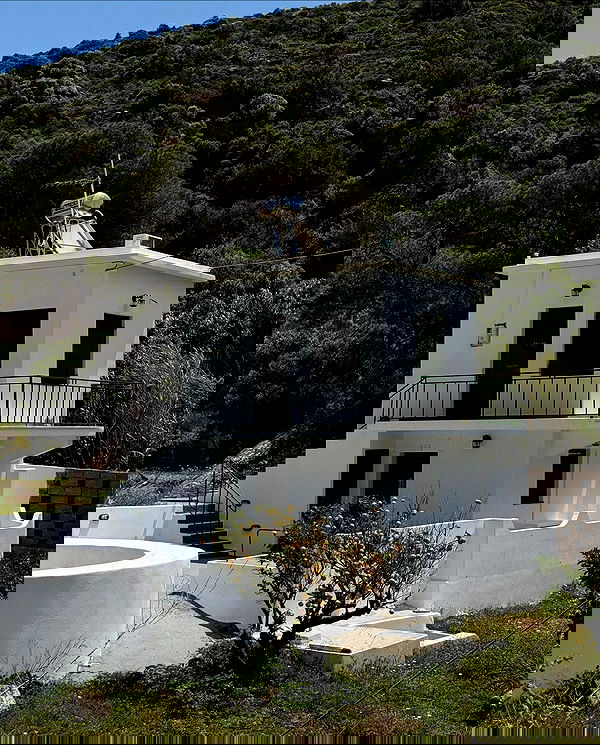 payton.r payton.r archive image