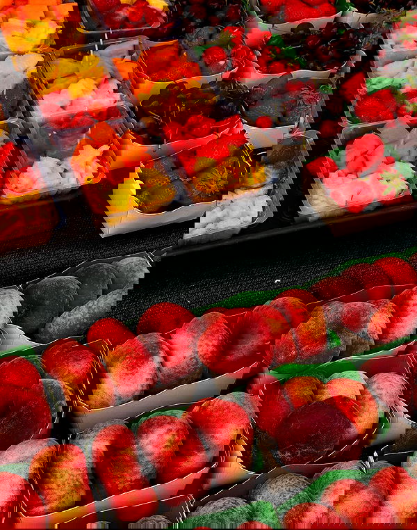 payton.r payton.r archive image