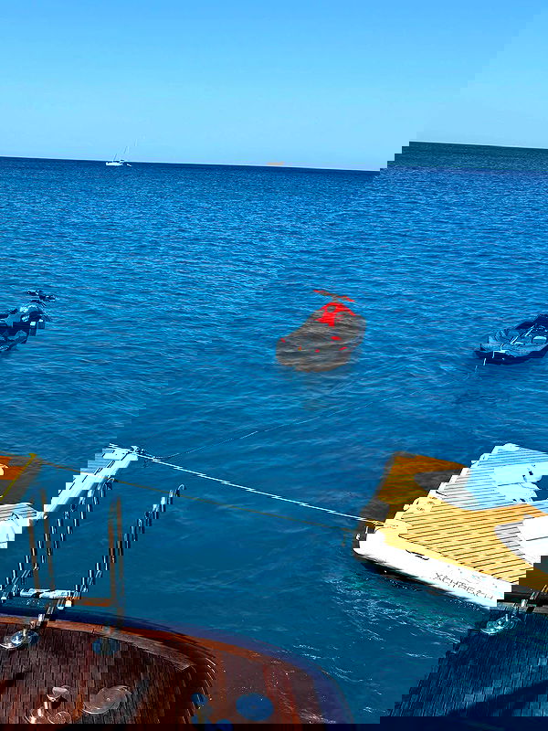 payton.r payton.r archive image