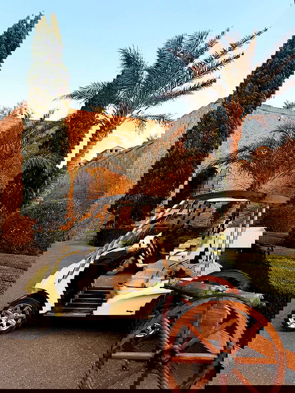 payton.r payton.r archive image