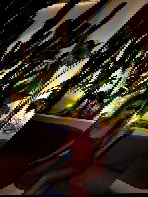 payton.r payton.r archive image