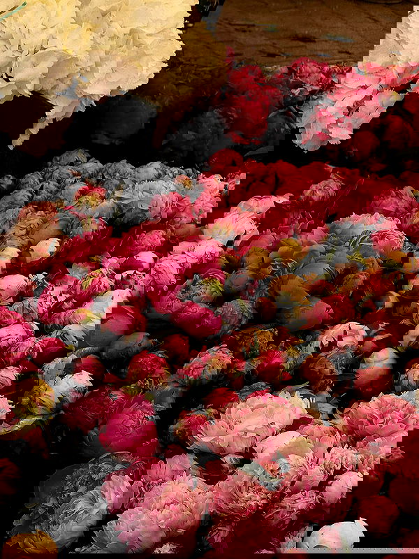 payton.r payton.r archive image