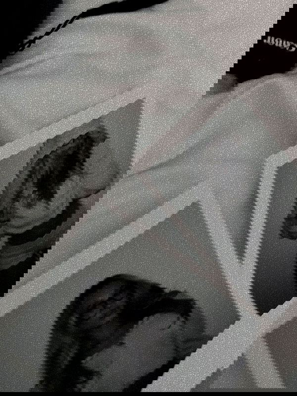 payton.r payton.r archive image