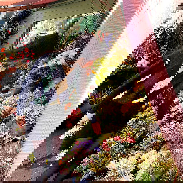 peacake6 image ~ Altpins