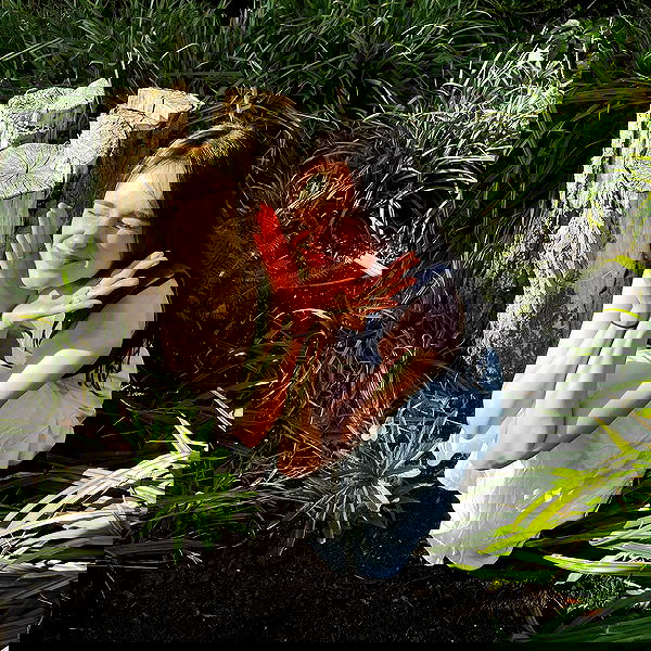 peacake6 image ~ Altpins