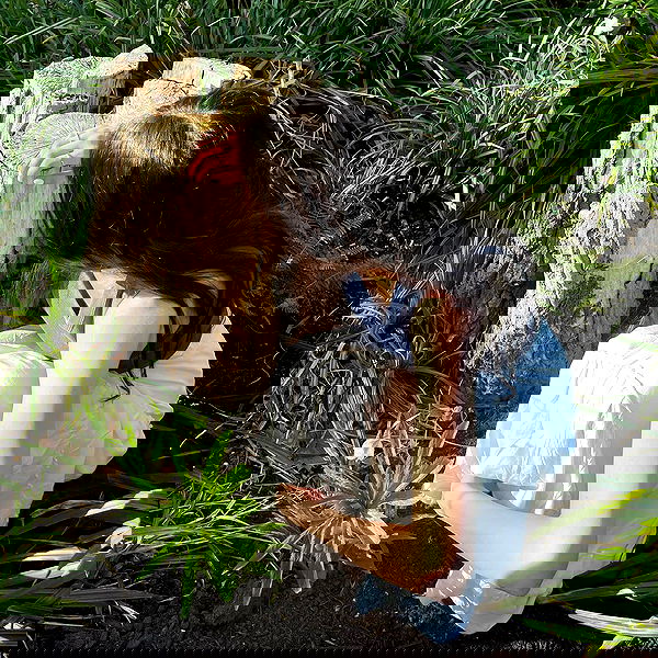 peacake6 image ~ Altpins