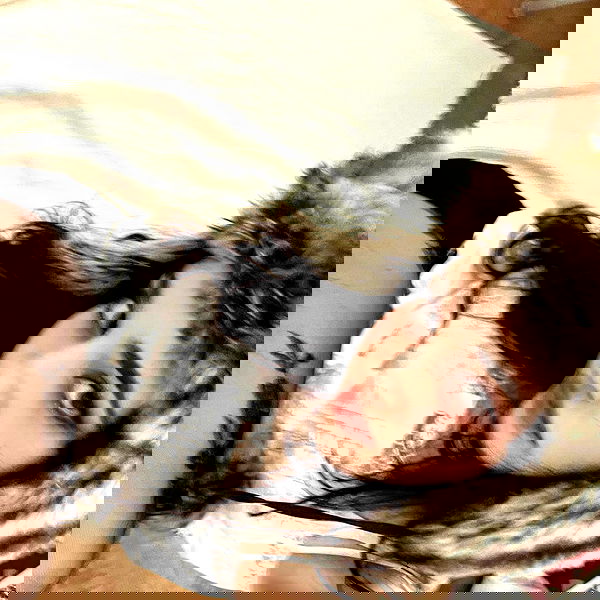 peacake6 image ~ Altpins