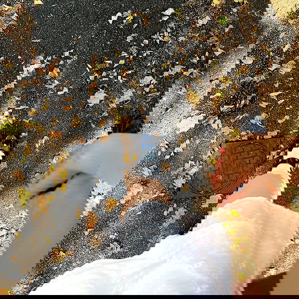 peacake6 image ~ Altpins