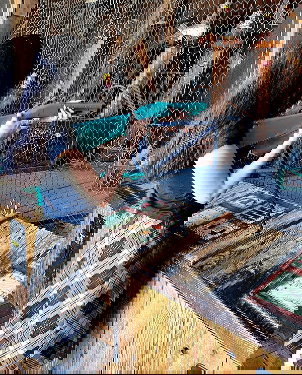 peacake6 image ~ Altpins