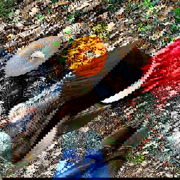 peacake6 image ~ Altpins