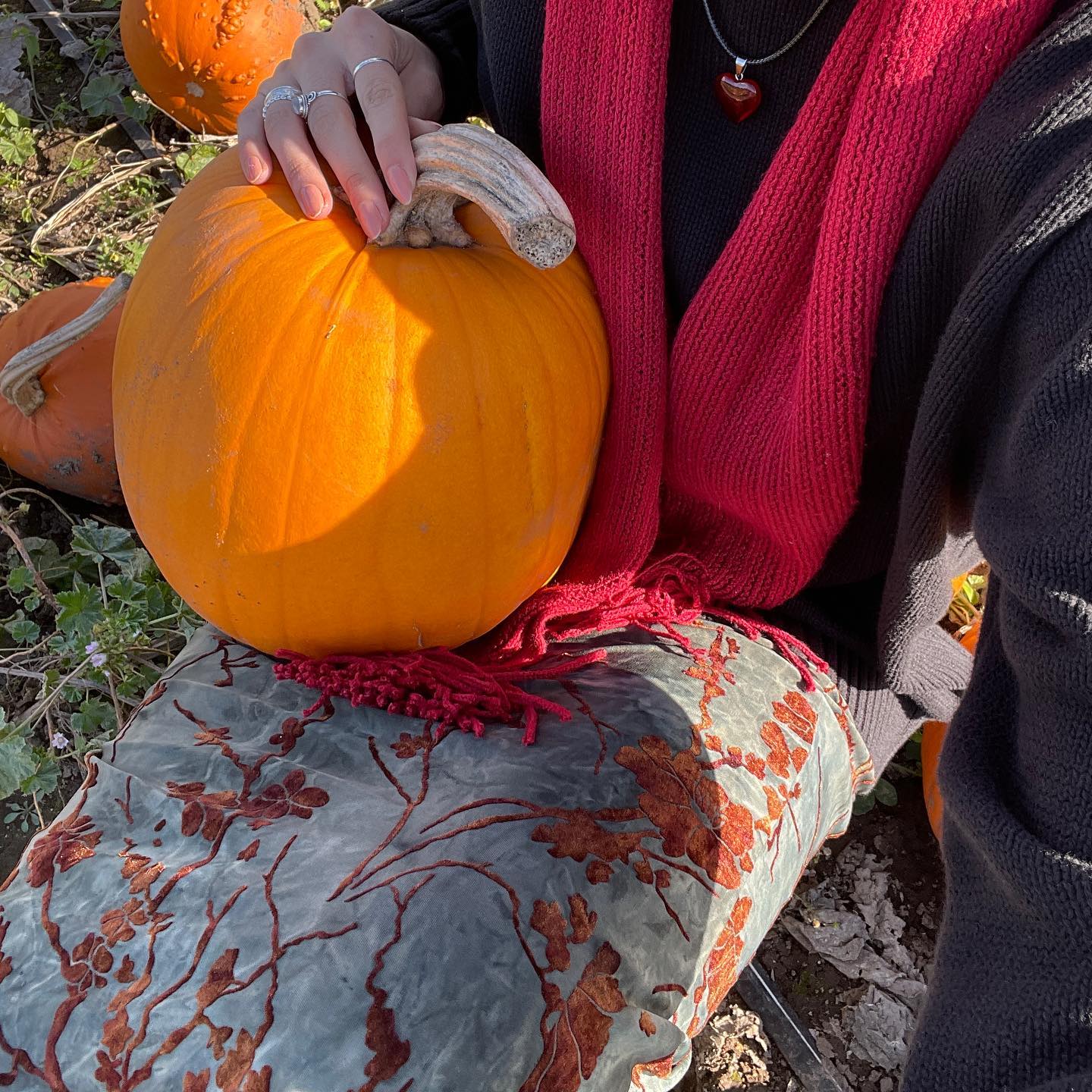 peacake6 instagram image archive image