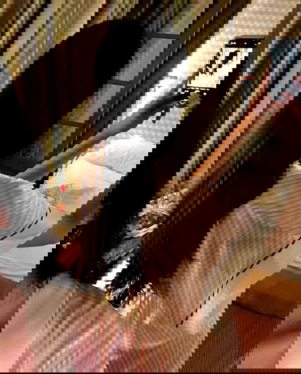 peacake6 image ~ Altpins