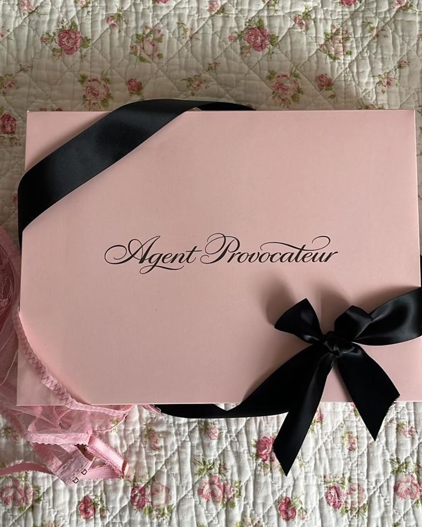 peacake6 instagram image archive image