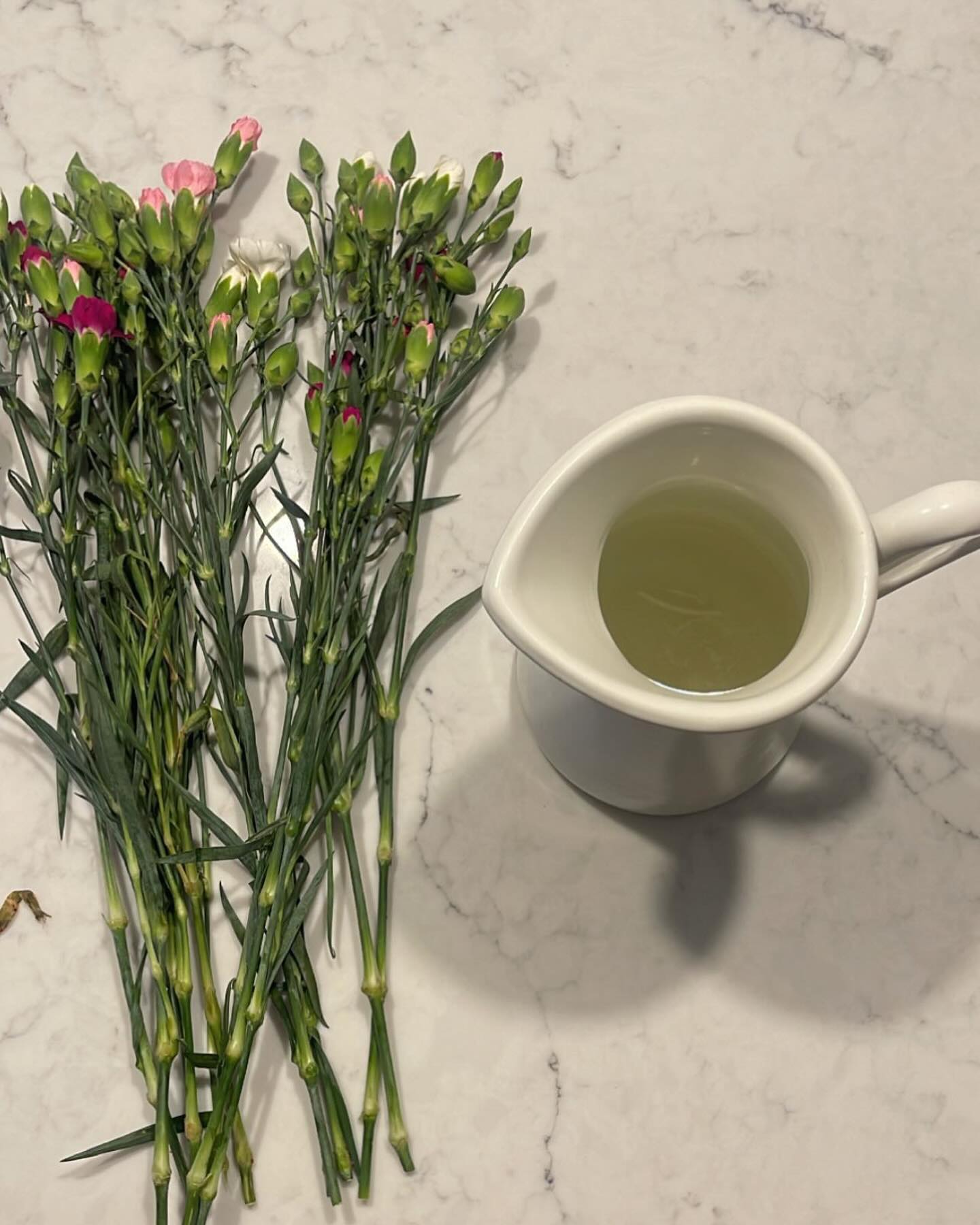 peacake6 instagram image archive image