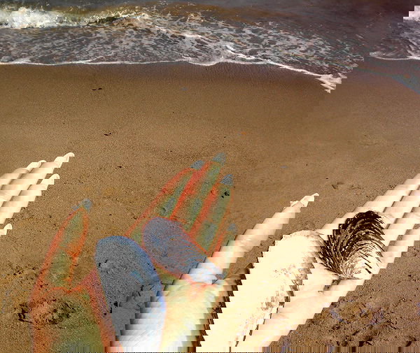 peacake6 image ~ Altpins