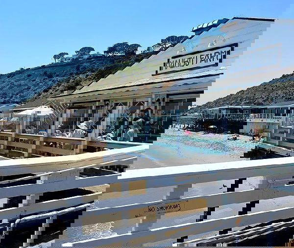 peacake6 image ~ Altpins