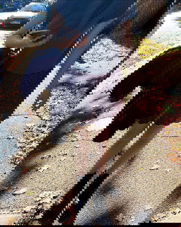 peacake6 image ~ Altpins