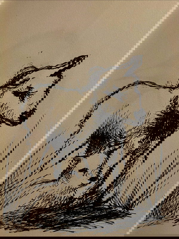 peacake6 image ~ Altpins