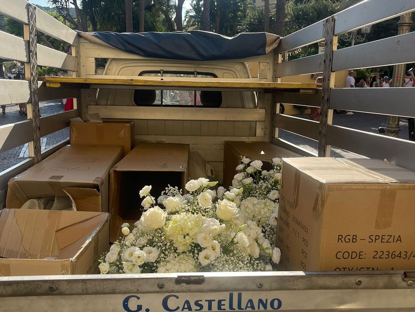 peacake6 instagram image archive image