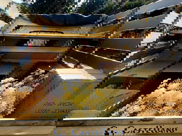 peacake6 image ~ Altpins