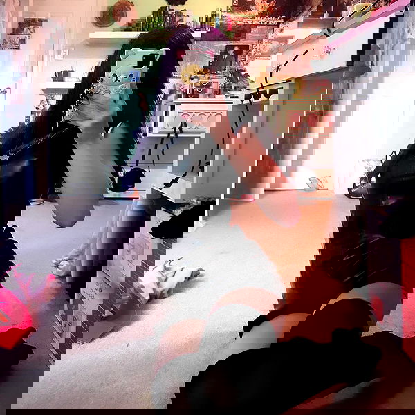 pimpdaddyextreme pimpdaddyextreme archive image